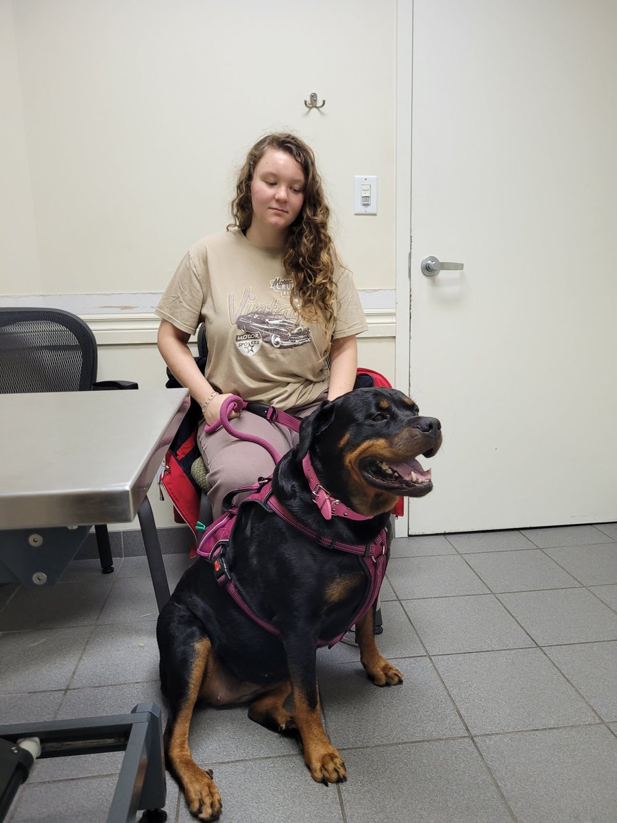 thereal16482192's tweet image. At the specialist wiff me Mum..
Paws crossed dat she behaves ¯⁠\⁠_⁠ಠ⁠_⁠ಠ⁠_⁠/⁠¯