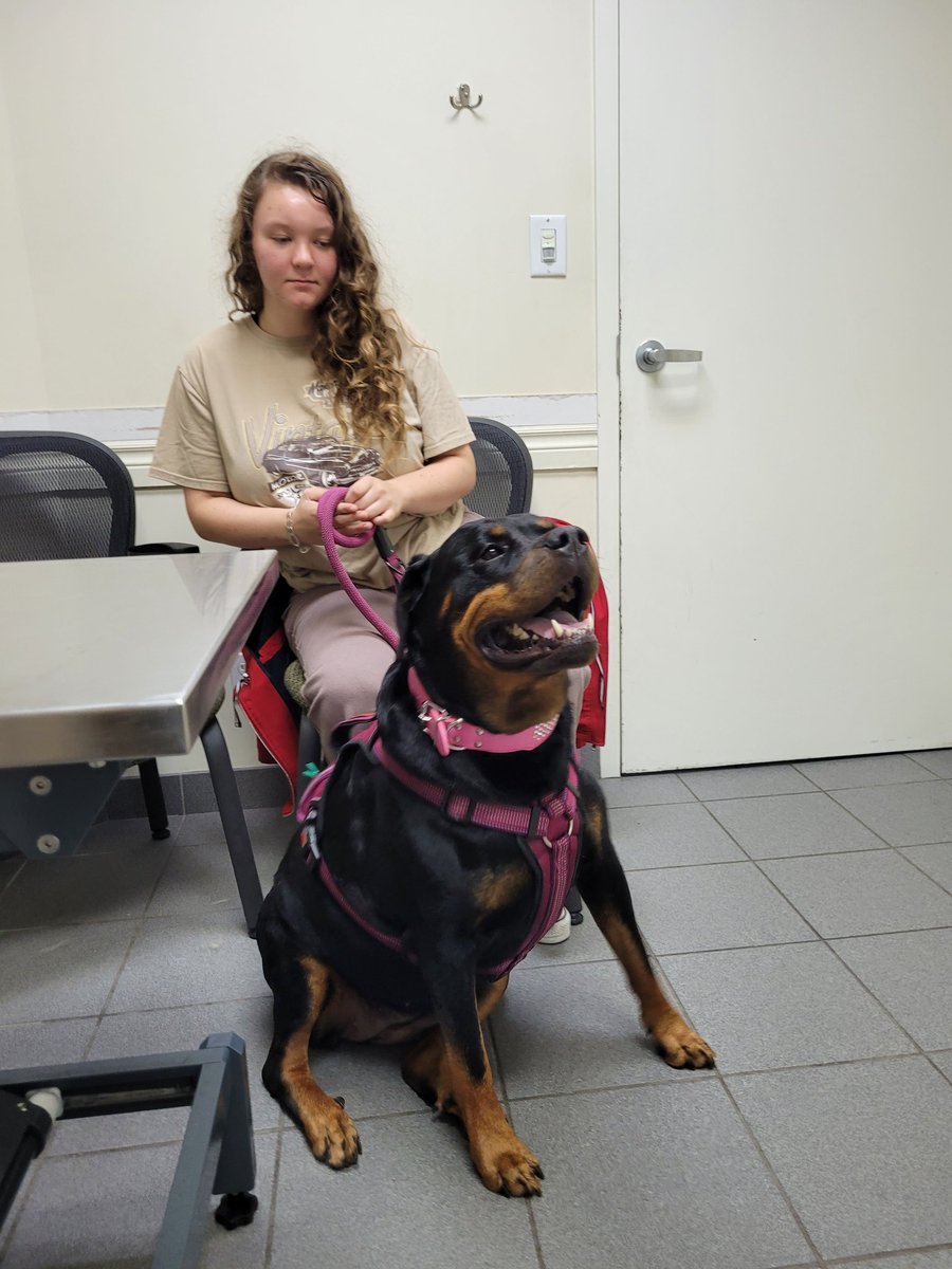 thereal16482192's tweet image. At the specialist wiff me Mum..
Paws crossed dat she behaves ¯⁠\⁠_⁠ಠ⁠_⁠ಠ⁠_⁠/⁠¯