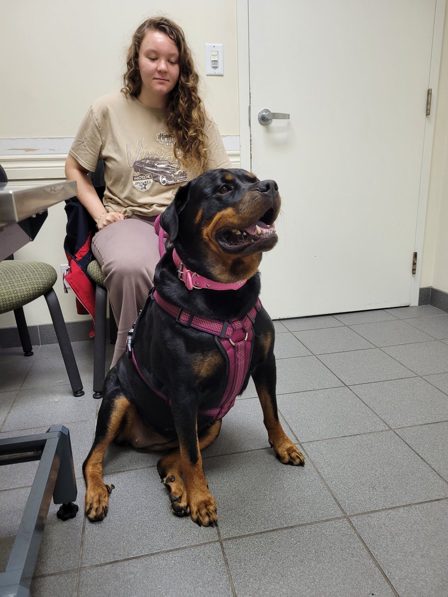 thereal16482192's tweet image. At the specialist wiff me Mum..
Paws crossed dat she behaves ¯⁠\⁠_⁠ಠ⁠_⁠ಠ⁠_⁠/⁠¯