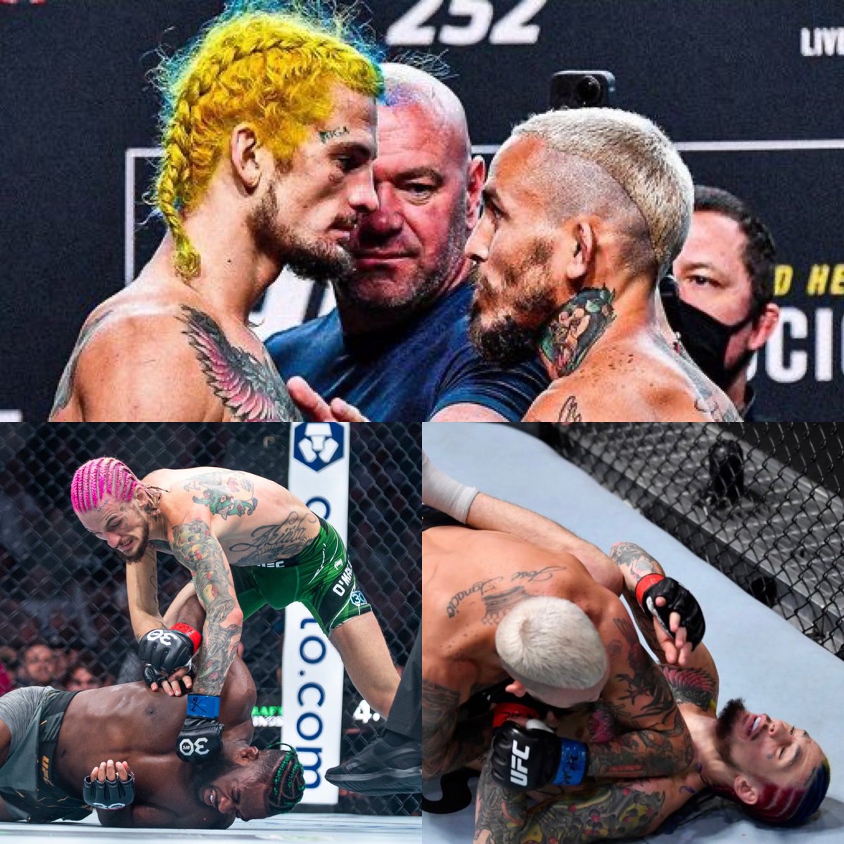 gastonreyno's tweet photo. Sean O’Malley vs Chito Vera es LA para hacer en Diciembre, no hay otra rivalidad mas grande en esta división https://t.co/nKSpzQv9k1