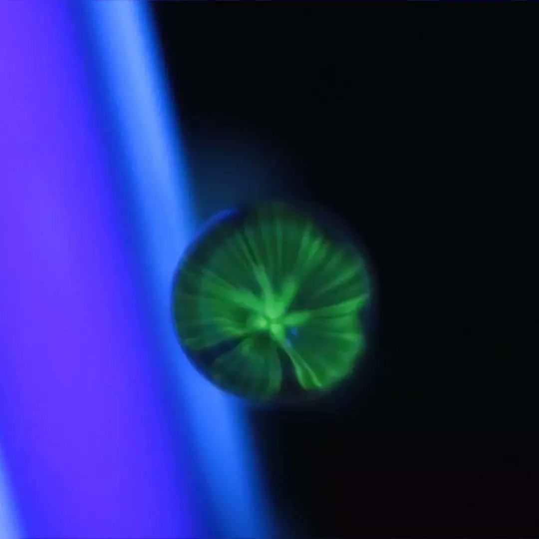 ブラックライトで光る流れ星のパーツとブラックライトで光る花のパーツを作りました。これでガラス分を作ります。
#ガラスペン
#流れ星
#水中花
#バーナーワーク