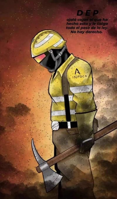 CCOO AMAYA tweet media