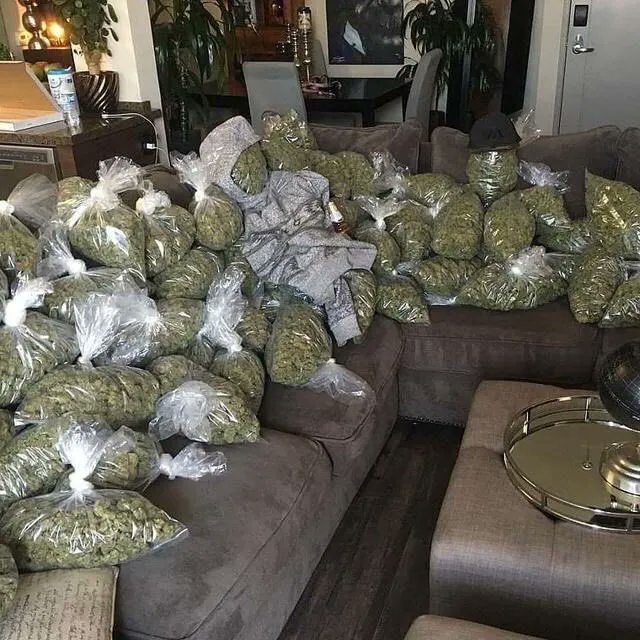 WeedPorns's tweet image. If I win the lottery I’m not telling anybody, but there will be signs