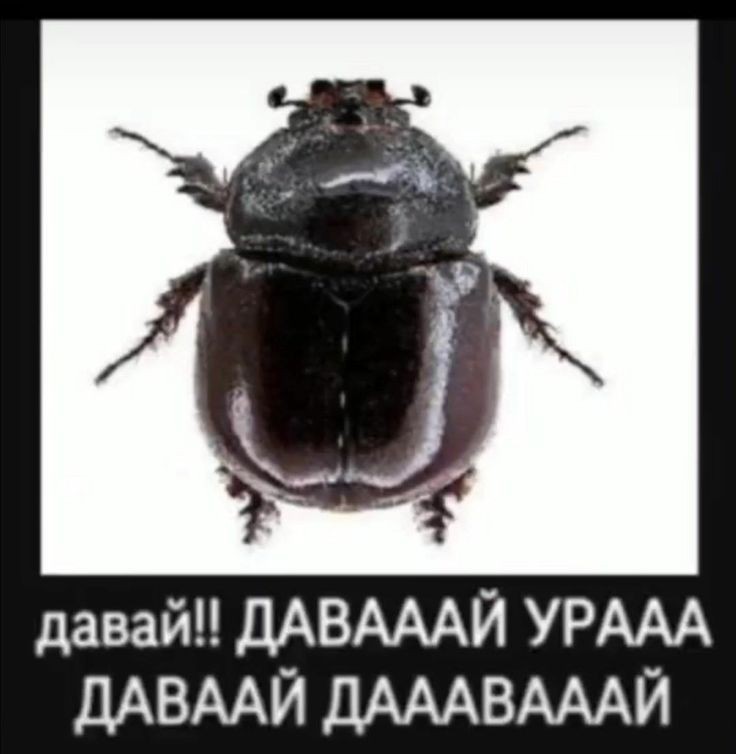 i_l0ki's tweet photo. @sttupidpackage https://t.co/oyRAAdNBlZ