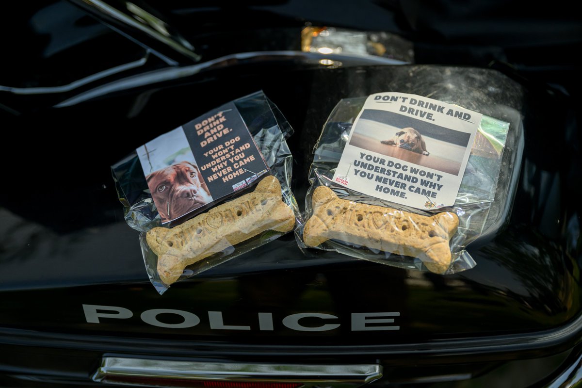 CuyahogaCounty's tweet photo. Deputies from @CuyahogaSheriff and members of our @CuyahogaOEM team gathered at Edgewater Park for the launch of this year's Drive Sober or Get Pulled Over campaign. K-9 teams will be distributing "doggy bags" promoting the drive sober message this weekend. #DSOGPO https://t.co/yGCcbJDtJC