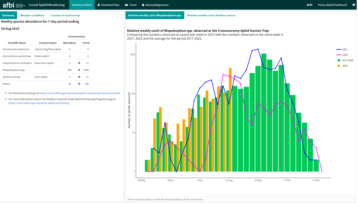 Aphid Monitoring in Northern Ireland tweet media