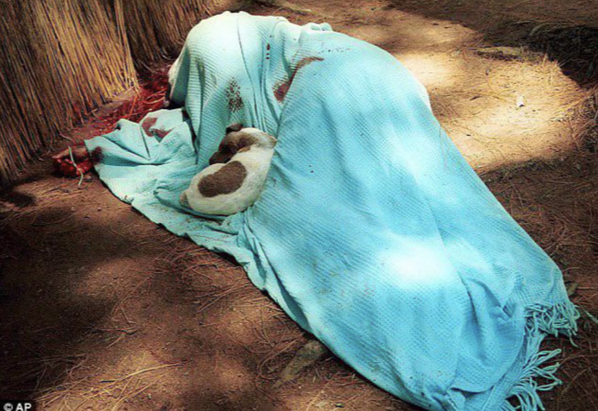 Squeak, a Jack Russell Terrier, guards the body of his master, Terry Ford, a white Zimbabwean farmer murdered during Robert Mugabe's farm seizures in 2002.