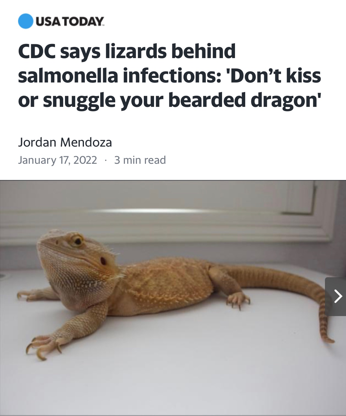 Bearded dragon lizards behind salmonella outbreak, CDC says