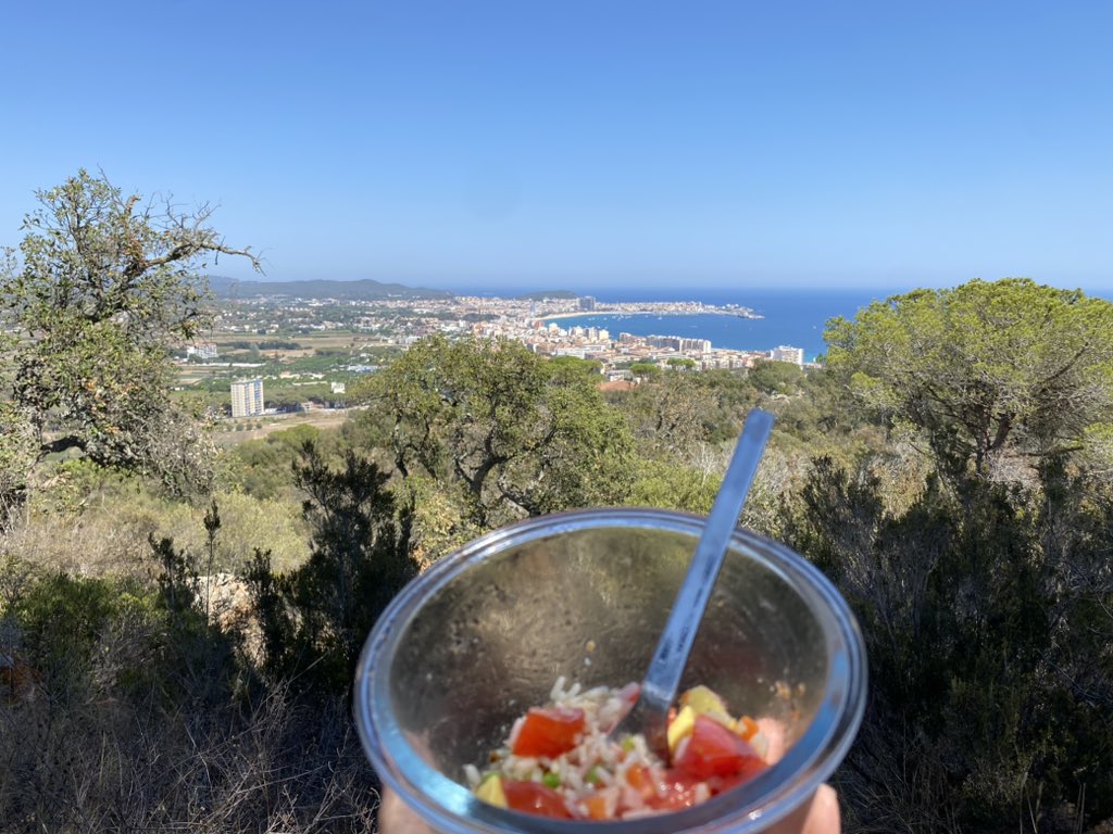 Dinar + Vilgilància i Prevenció  d’Incendis Forestals #onadadecalor
#PlaAlfa #PrevencioIF
#agentsrurals