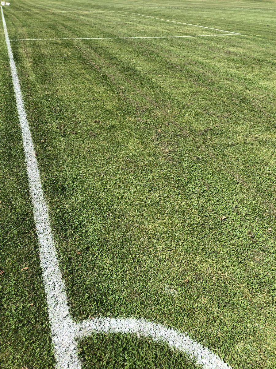 Lee Constable tweet media