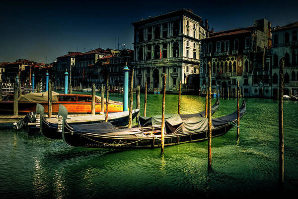 nbrandsberg's tweet photo. Venice Grand Canal Gondola:
https://t.co/McN7ID4MyY
More fine art: https://t.co/gatFnnyf4h
#venice #grandcanal #gondola #venicegondola #venicenight #veniceboat #landscapephotography #art4mom #AYearForArt #travelphotography #nature #BuyIntoArt #springforart #artforsale #Travel https://t.co/3KPIVgx50x
