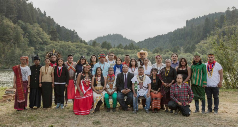 Neil Dawson tweet media