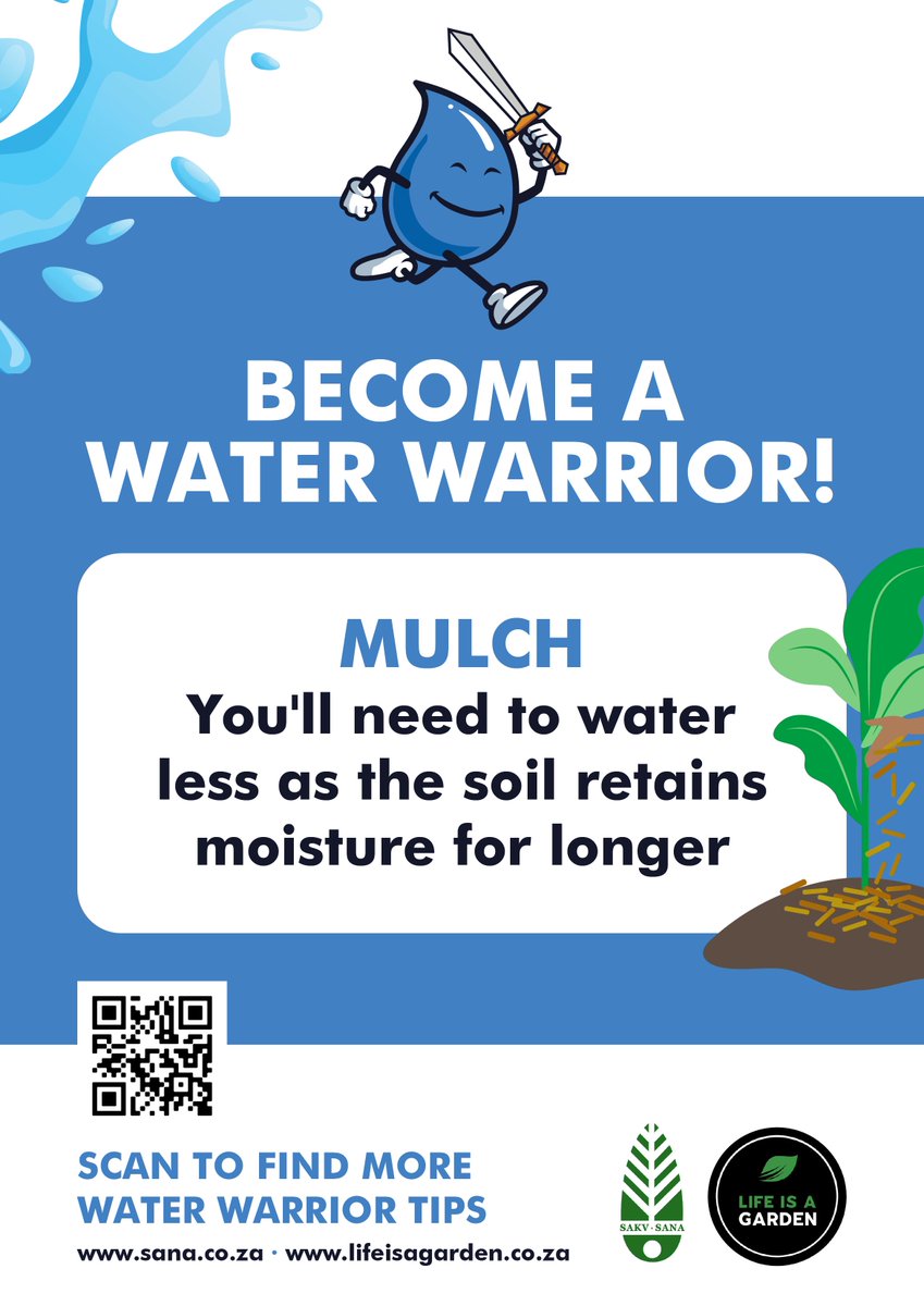 lifeisagardensa's tweet photo. 🌱Be a Water Warrior: Embrace Mulching!🌿
Mulching is a powerful technique that helps conserve water, enrich soil, and keep those precious plants thriving! 💧✨
https://t.co/2IR47z6ewK
#MulchingMatters #SustainableGardening #WaterWarrior #WaterConservation #LifeIsAGarden https://t.co/z2dnPiceRj