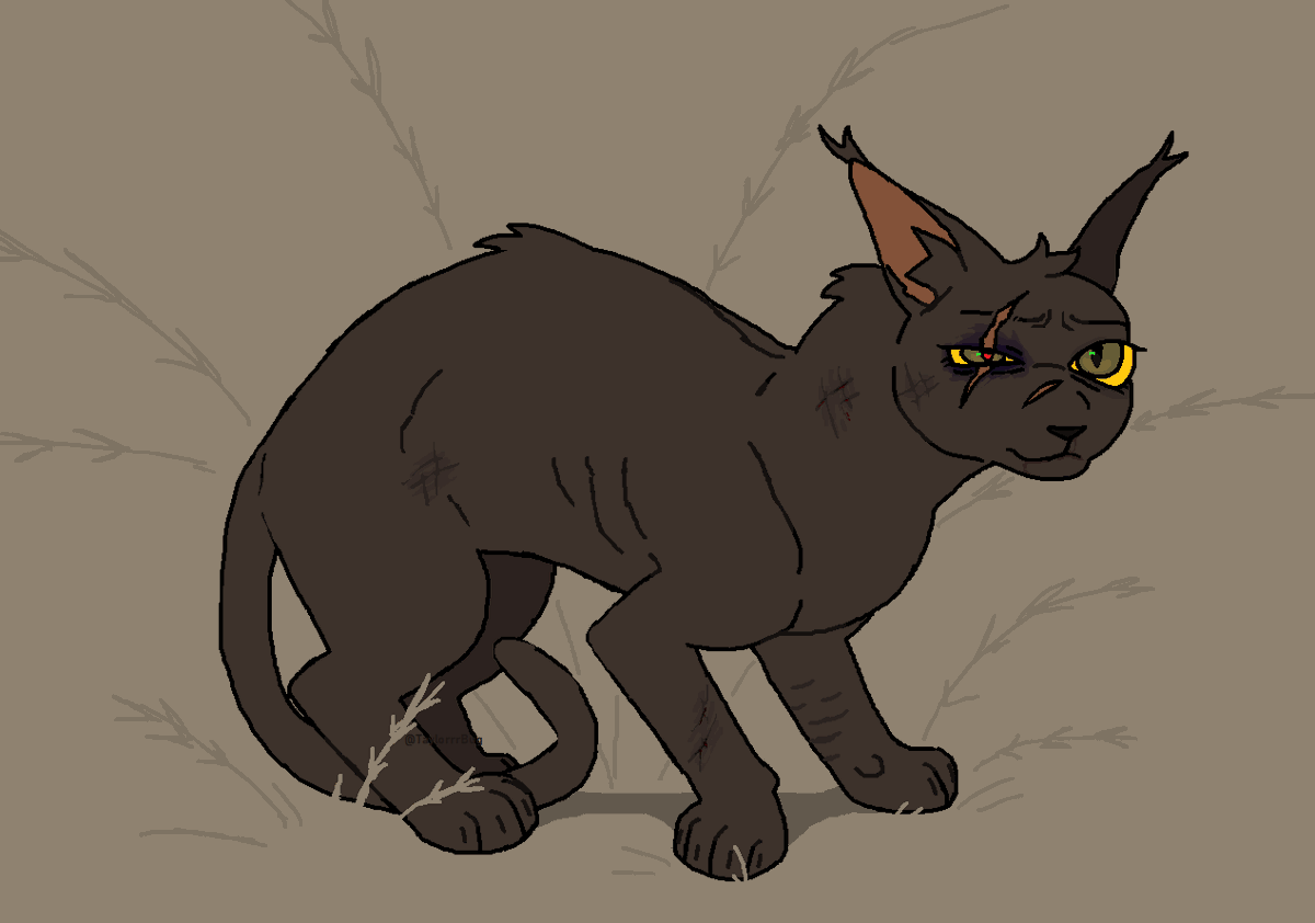 TaylorrrBug's tweet image. You poor little thing

- #warriorcats #wcoc