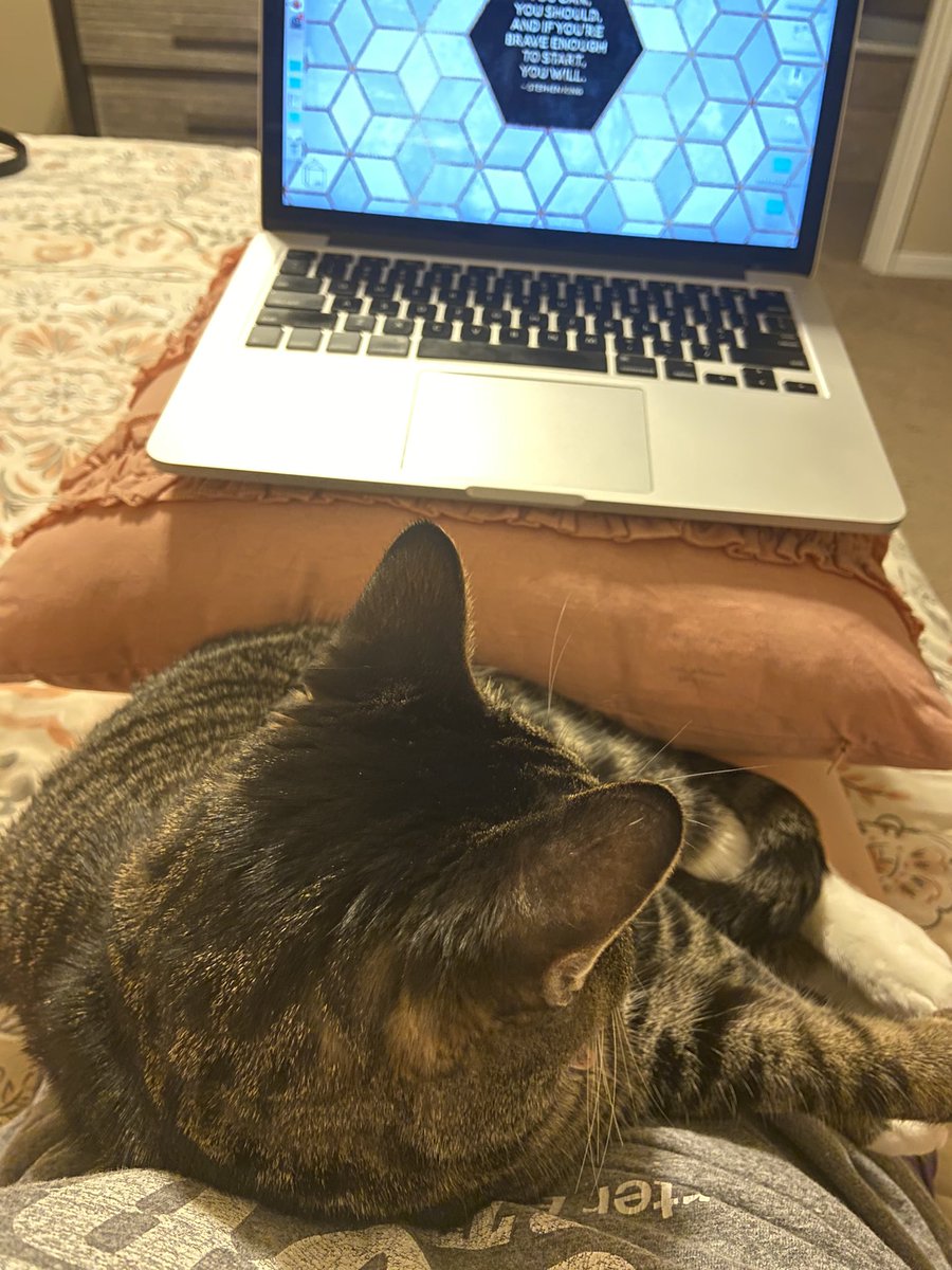 Last night my partner asked me to help edit an email. My cat is locked in a constant battle with him for my full and undivided attention. She thought she won last night, but I still finished the email!