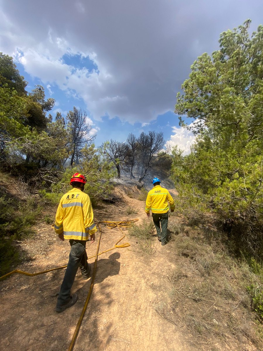 ADF 144 l'Espluga tweet media