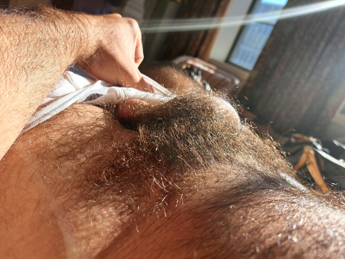Sun and fur #hairydick #bush #pubes #hairyfetish