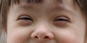 Bimbe Mazzoli helena tweet media