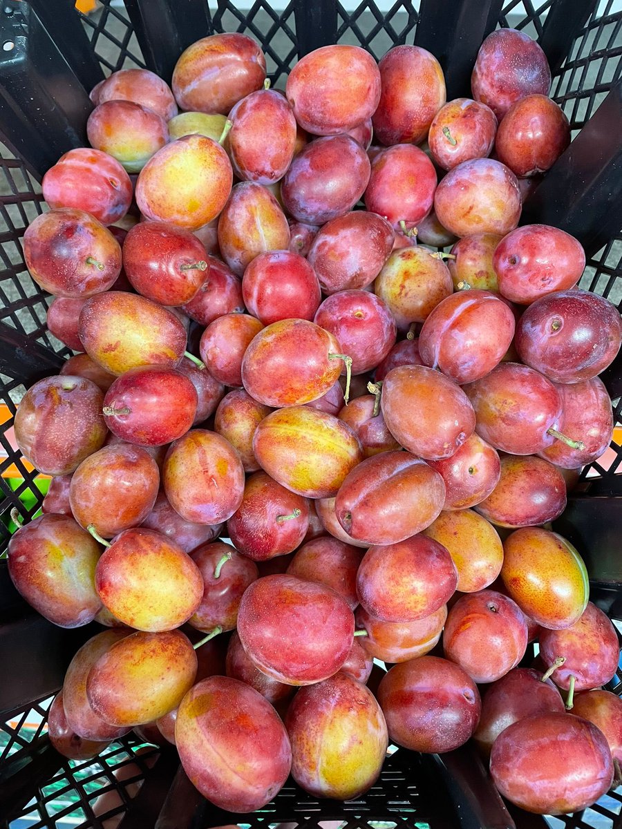 Class One tweet media