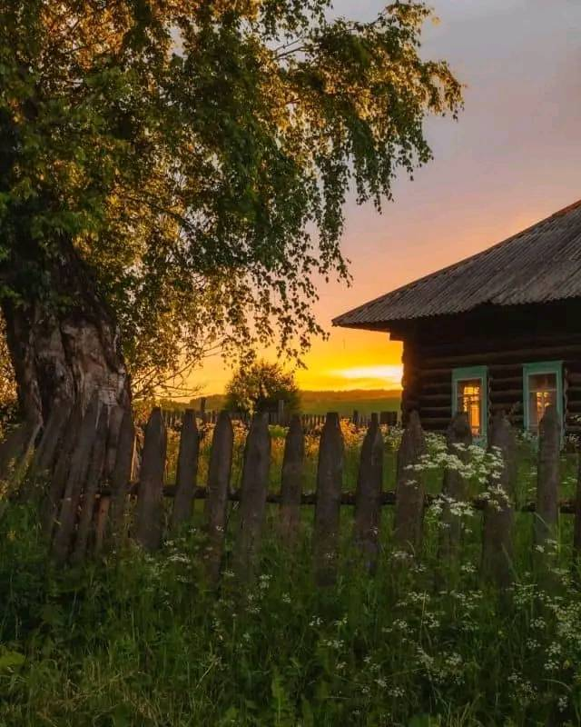 artindetails's tweet photo. golden afternoon. https://t.co/DkPGBQqZyk