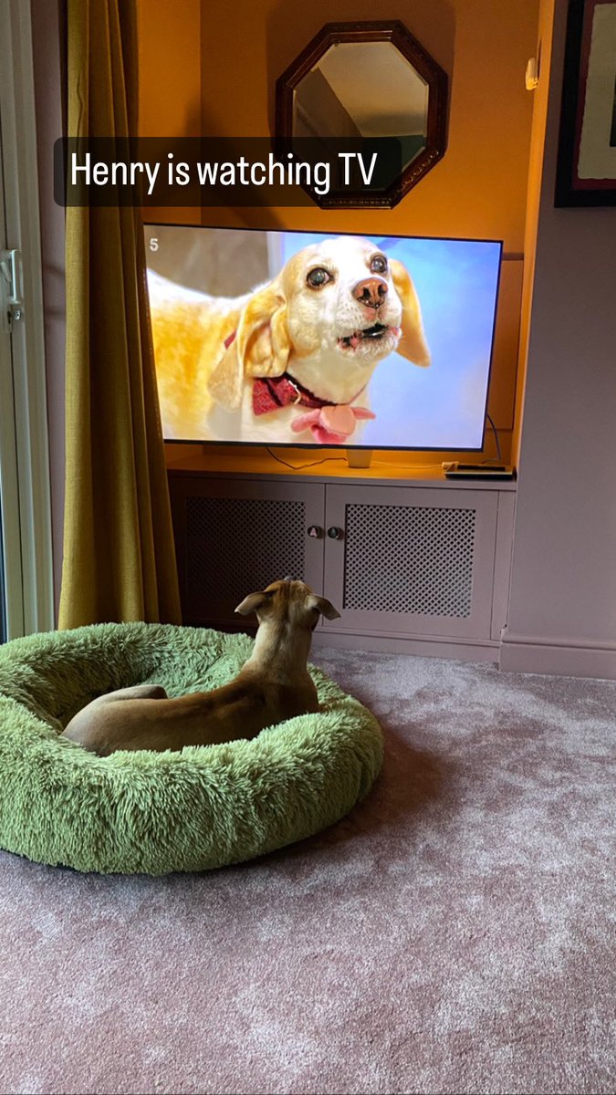 RACHEL GOLD STYLIST tweet media