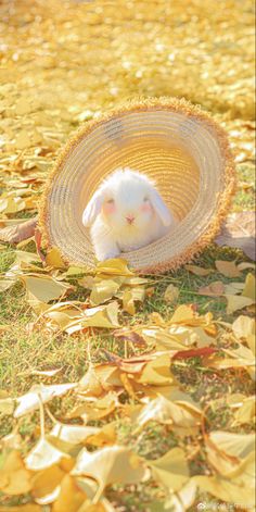 HelseyBev's tweet photo. I want this to last https://t.co/N6yoTD98QZ