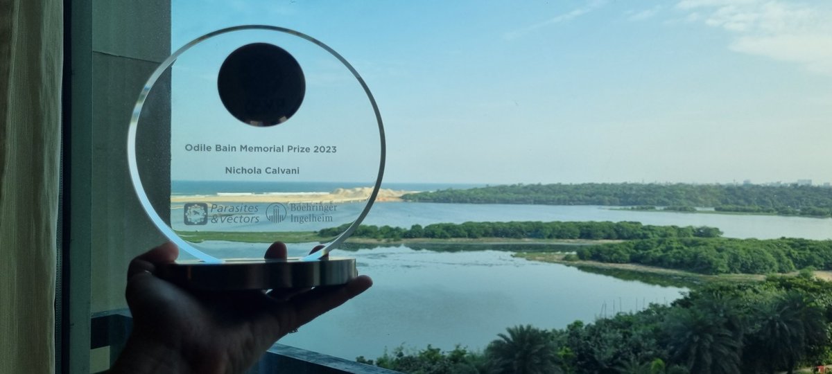 Nichola Calvani tweet media