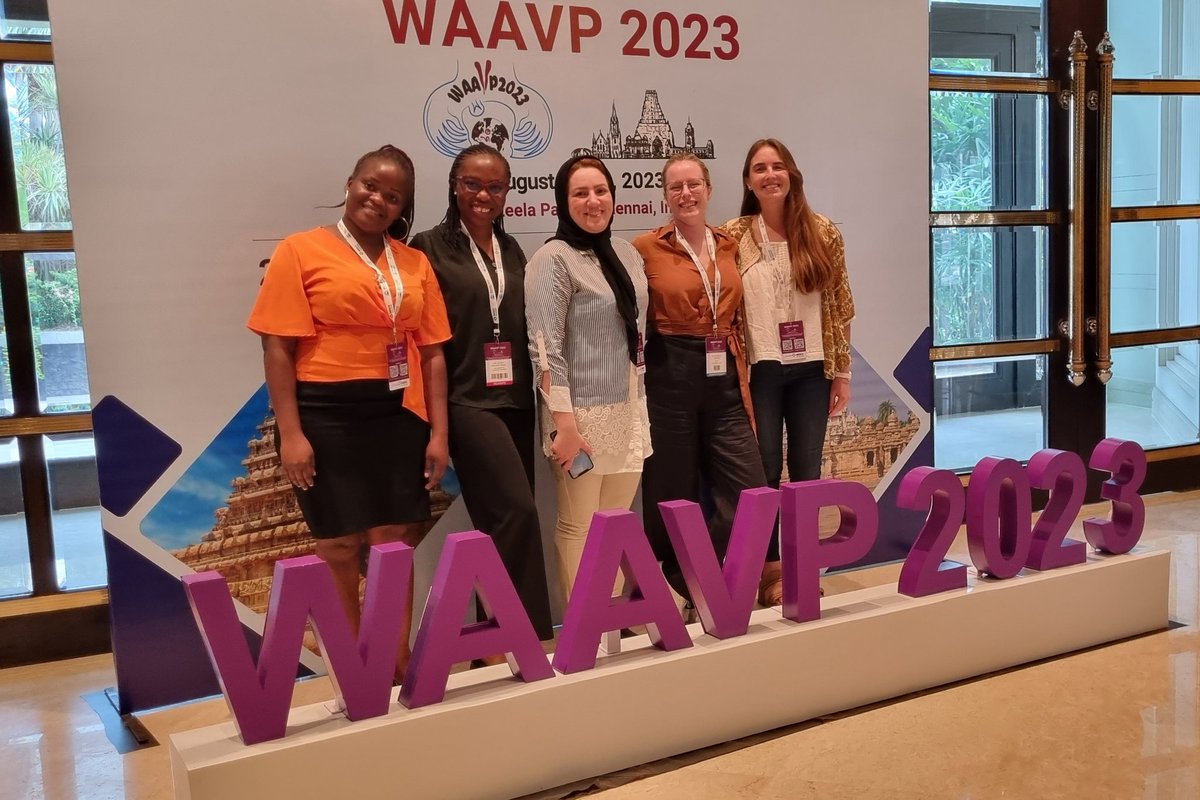 Nichola Calvani tweet media