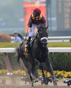 HORSERACING1002's tweet photo. DA'TARA🇺🇸2005
(TIZNOW - TORCHERA BY PIRATE'S BOUNTY)
#DaTara
B/ Winstar(Ky) Apr 26, 2005.
O/ Robert V. LaPenta
T/ Nick Zito
KEEJAN $100,000
FTSAUG $175,000
KEENOV $180,000
19-2-5-3----$743,090
Belmont S G1, Barbaro S.
Stood Haras los Aguacates🇻🇪 https://t.co/rT6MCTYczY