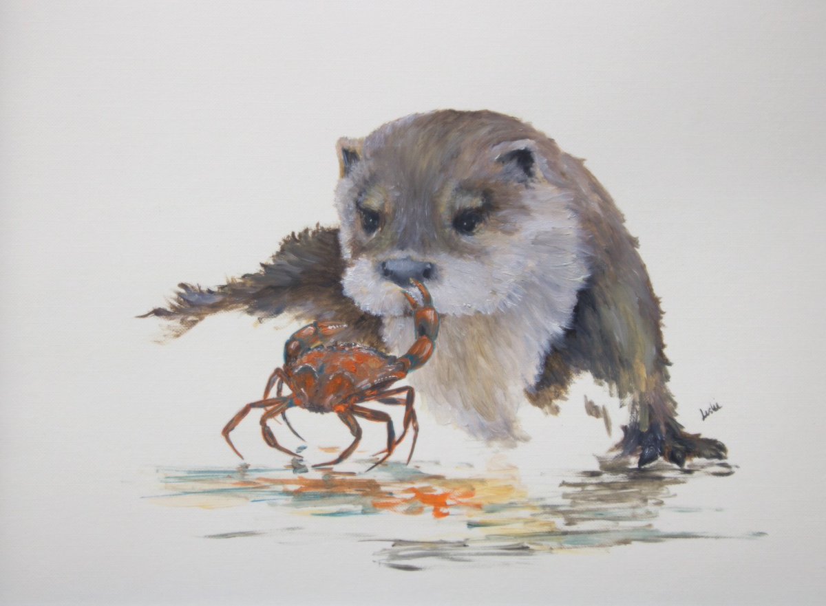 Crab fishing: coastal #otter sketched near #Cellardyke #Fife sizing up a shore #crab After a bemused face off, the crab backed off & otter went back to rock pooling @PerthshireWild @scot_nature @ScotWildlife #wildart @WildOtterTrust @TheDailyOtter @Otter_Project @welcometofife