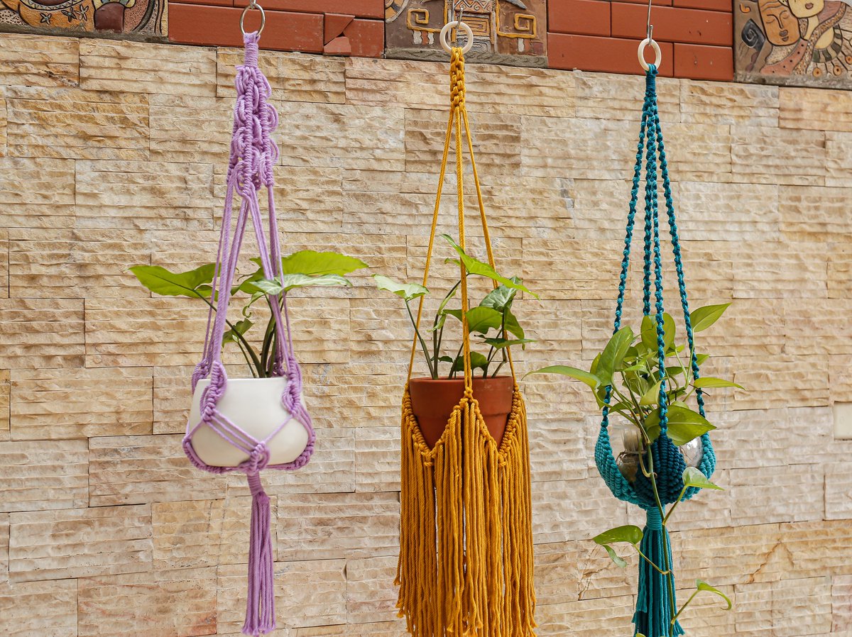 #ElevateYourGreenery 🌿 Transform your space with our exquisite plant hanger macrame creations. Elevate your plant game while adding a touch of boho-chic charm. Handcrafted to perfection. 🪴✨ Botanicals
#MacramePlantHanger
#IndoorPlantHanger
#AirplantHanging