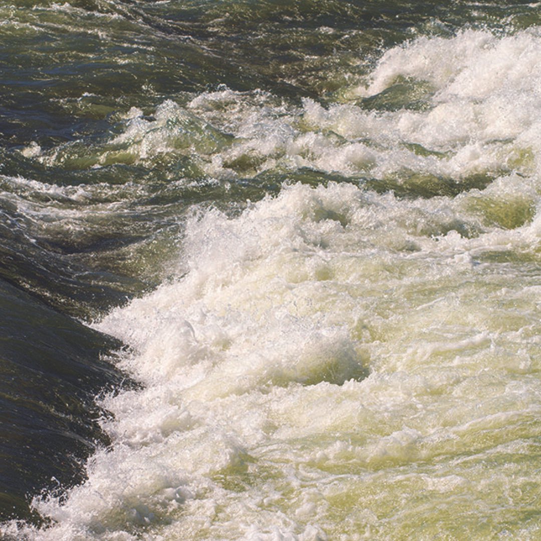 8.25.23 <a href="/callousdaoboys/">The Callous Daoboys</a> #thecallousdaoboys #wacojesus #GSUTCD