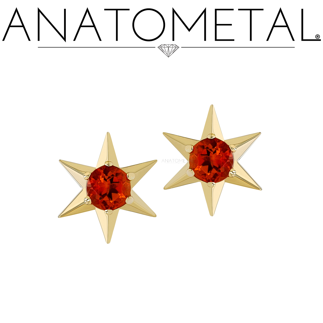 A little sparkle goes a long way! Add shine to your style with our attention-grabbing 18k gold Gemmed N Star Ends!

#anatometal #jewelry #gold #18k #piercing #bodypiercing #safepiercing #madeinsantacruz