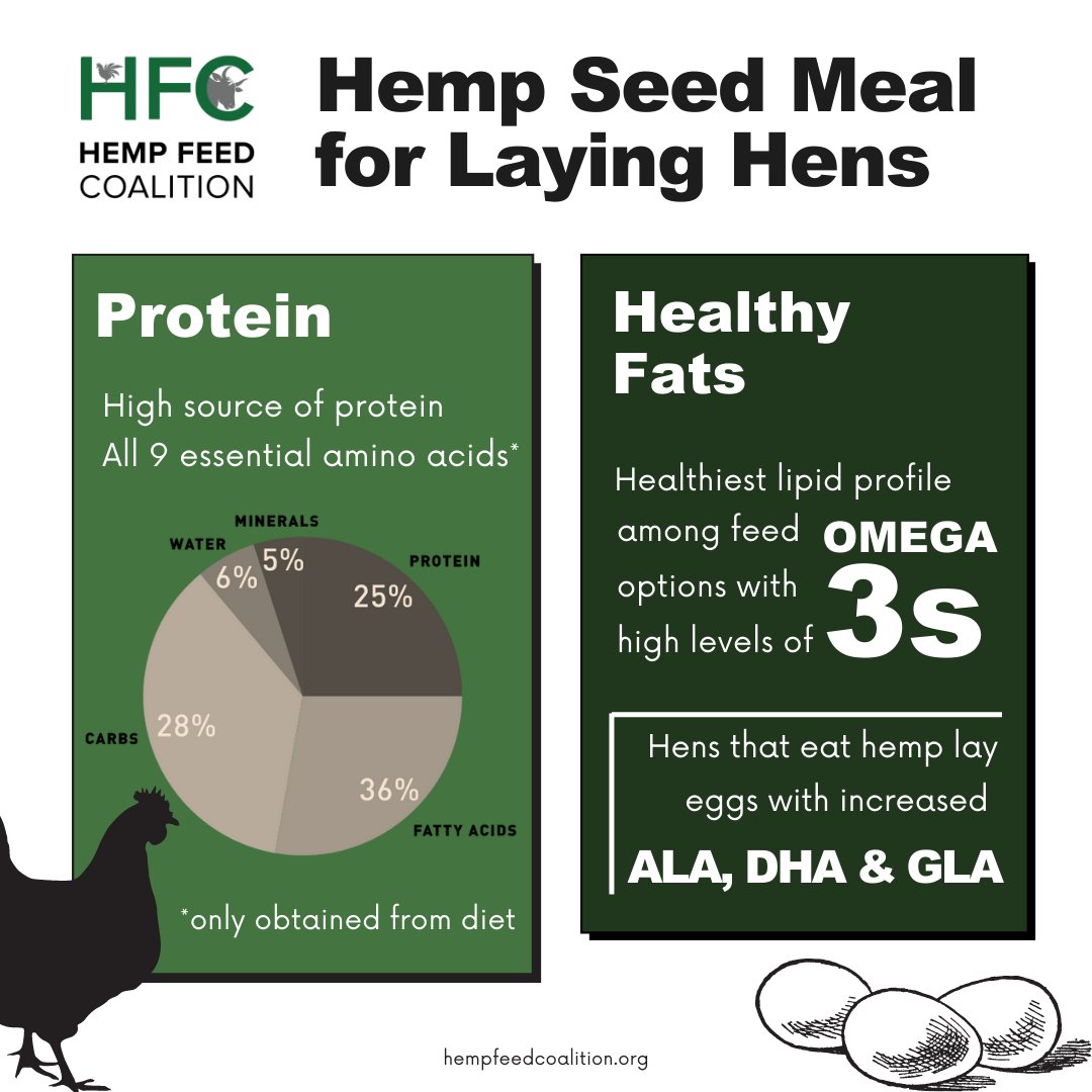 Hemp Feed Coalition tweet media