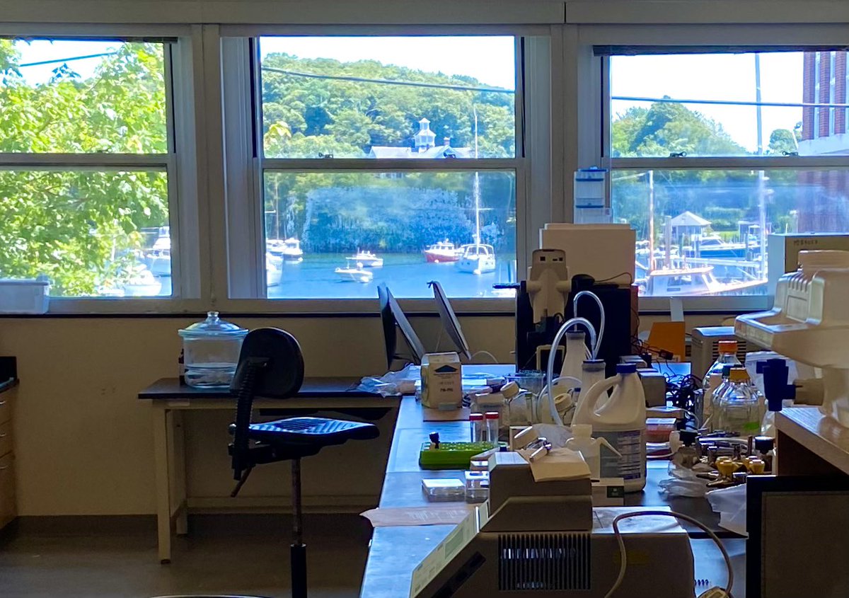 adelcarmenf's tweet photo. I canโt believe our time at #WoodsHole is over. Itโs been an amazing inaugural year for the @biologyofaging course @MBLScience ! Many new friends & new insights in tools to study aging. Pics of the people that made it happen over its two sessions. Also #labviews + #lifegoals ๐ถ https://t.co/TuYQNfxxSR