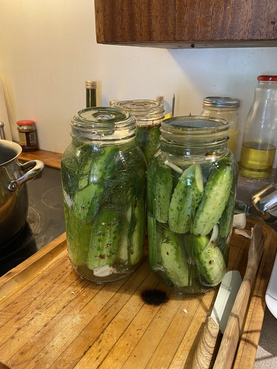 csylviamc's tweet photo. Our front yard garden harvest begins! 👩‍🌾🍅🥕🥔 https://t.co/7yMG90uGgE