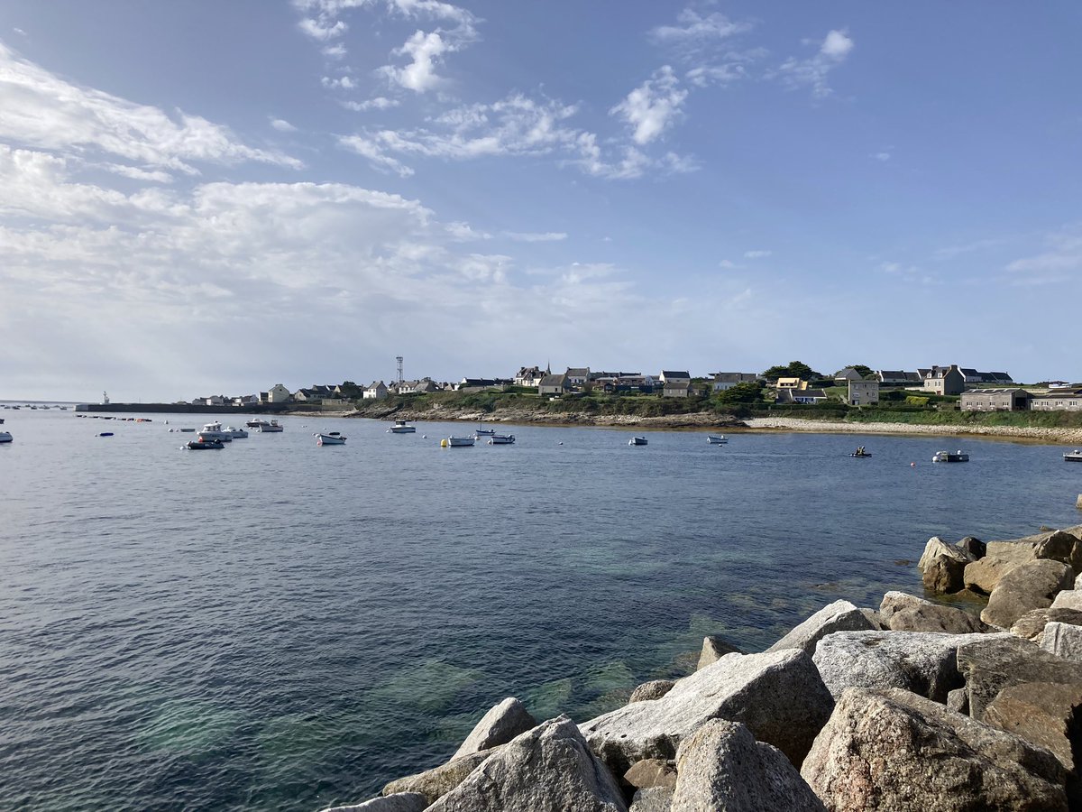 Kiara Franke, M.Sc. tweet media