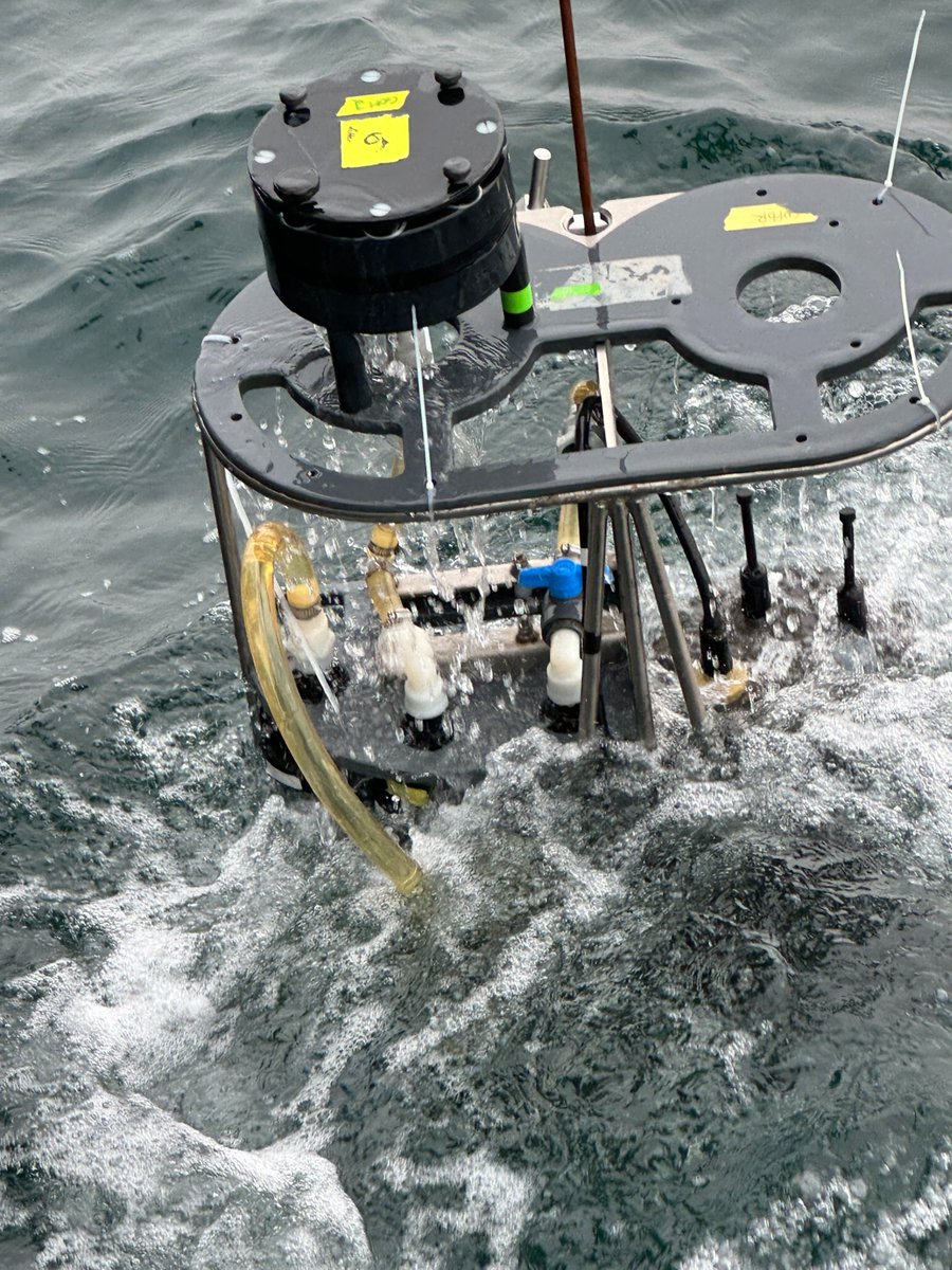 In the late stages of a cruise in the Gulf of Maine.  Mercury, of course. Water, particles with McLane pumps, net tows, meth/demeth and all! Collab with Dartmouth colleagues.