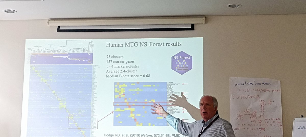SadoYousseu's tweet image. Into the World of #Transcriptomics, #Viraltranscriptomics, #Singlecelltranscriptomics. #VEME2023, #Bioinformatics, #Stellenbosch, #SouthAfrica. Thank you Prof. Richard Scheuermann and Zack Wallace from @JCVenterInst.
@ceri_news , @Tuliodna , @cam_crid.