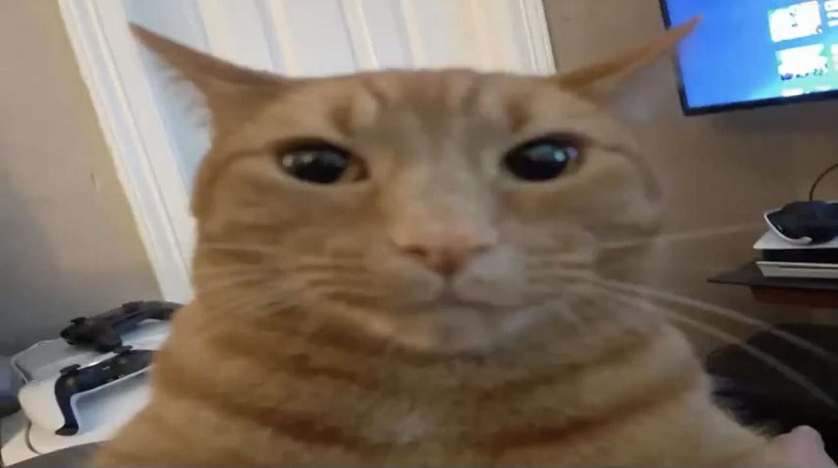 VannifyRL's tweet photo. @Gumberin0 @HorseyRl Live reaction https://t.co/G7uaAfNiiW