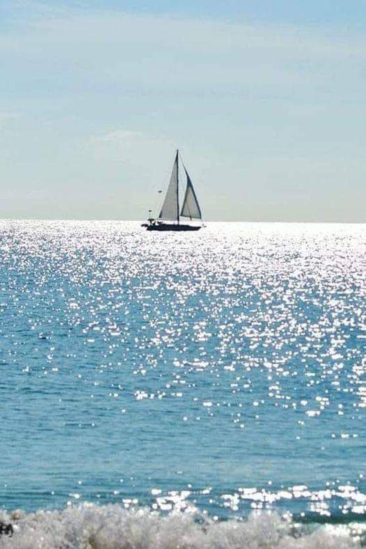 poemprose's tweet photo. Nothing gives me as much joy as the sailing boat of my silent heart ~Rumi https://t.co/X1gEMCh9Qb
