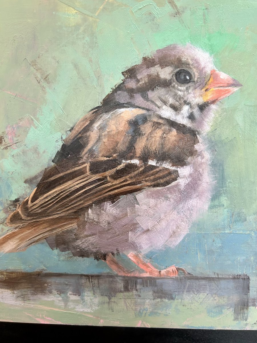 Little Punch is now finished and ready to dry. 
He’s been humming away as I’ve been painting him. 
A lovely soul 
#birds #birdart #artist