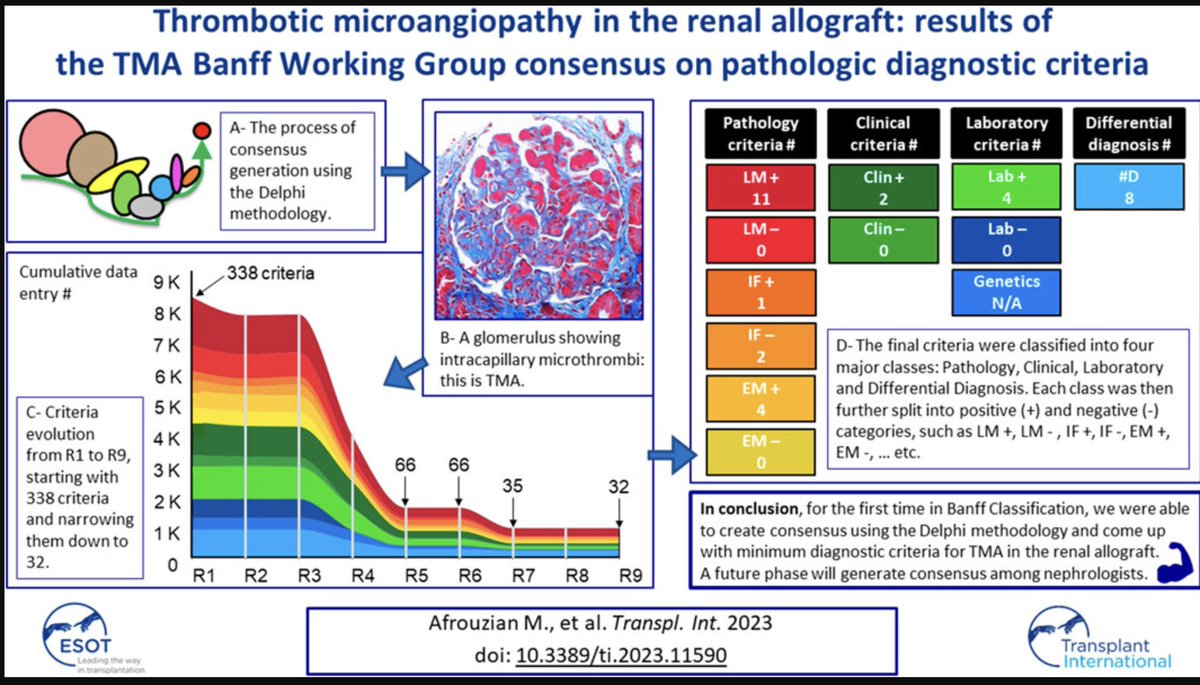 Carmen Avila tweet media