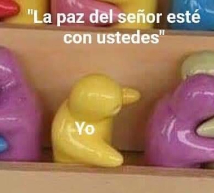 nacional_memes's tweet photo. No entiendo xddd https://t.co/9DvRrarCBR