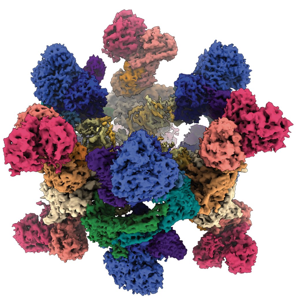 DCI_EM's tweet image. The DCI Seminar Series 2023 hold by all three sites in Bern, Geneva and Lausanne will start this Friday @unige_en with the wonderful Bonnie Murphy @bonnie_j_murphy - group leader at the MPI for Biophysics @MPIbp.
We are excited to learn all about Redox and Metalloproteins! 🤩