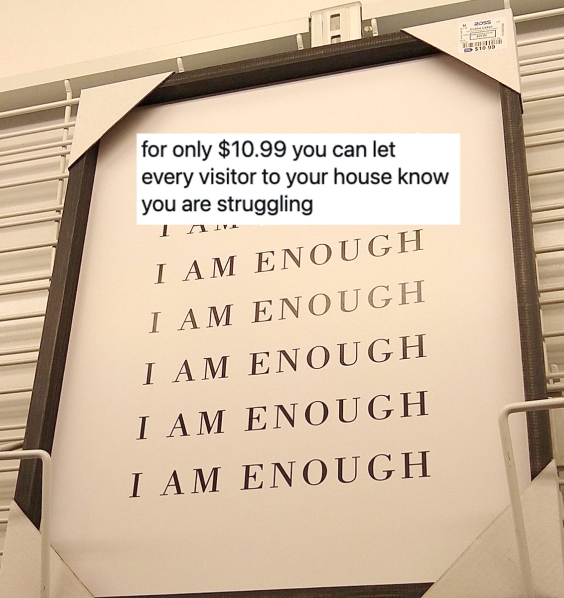 Ngl, this is actually a hysterical observation.