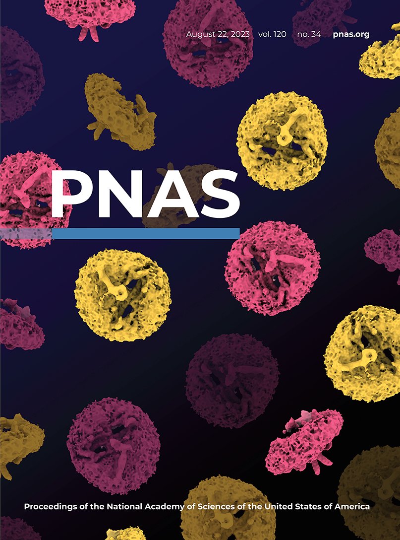 Pamela Ornelas tweet media