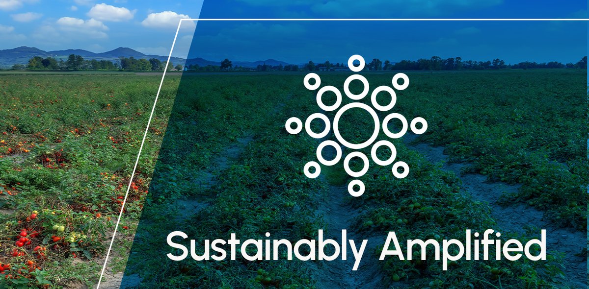 Focusing on broadacre and specialty crops, Elemental Enzymes along side our partners are dedicated to meeting growers' needs. Our patented solutions open doors for all. Learn more in our latest newsletter: lnkd.in/gaCWxrME