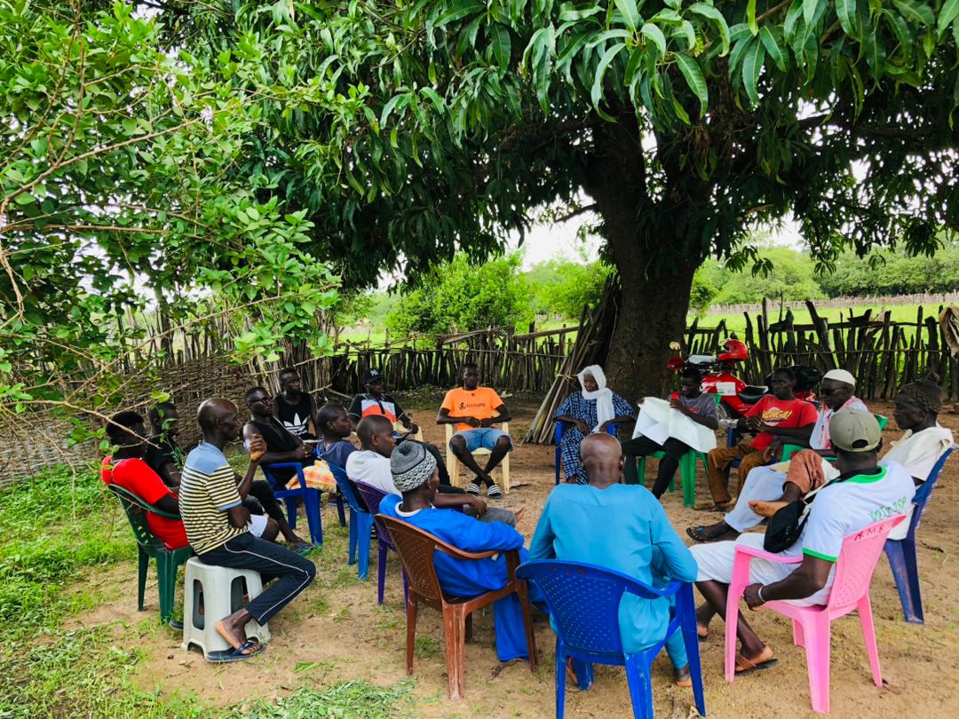 PlanGnb's tweet photo. The #MeREECE education project launched Reading Clubs in the 5 regions where the project is implemented (Bafata, Gabu, Cacheu, Oio and Quinara). The initiative aims to cultivate a passion for reading, strengthen comprehension & facilitate dialogue amongst pupils during holidays. https://t.co/N4wp9tguSC