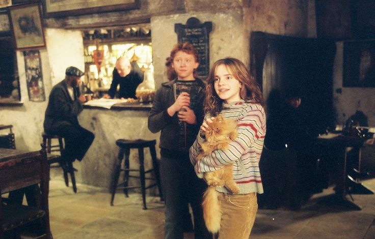 31 August 1993: Harry meets Ron and Hermione at Diagon Alley. Hermione purchases her pet Crookshanks.